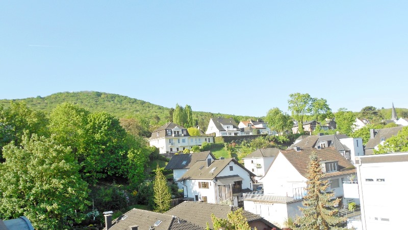 Ausblick auf den Neuenahrer Berg