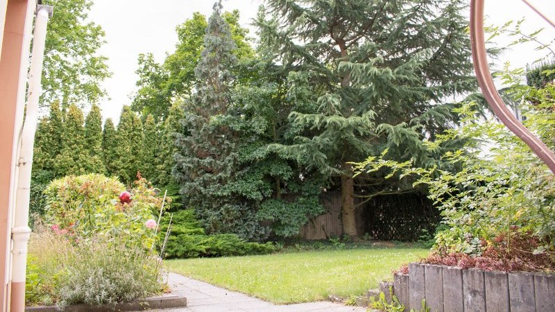 Blick in den Garten