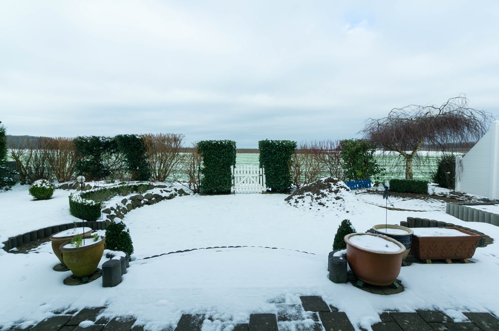 Impression Garten