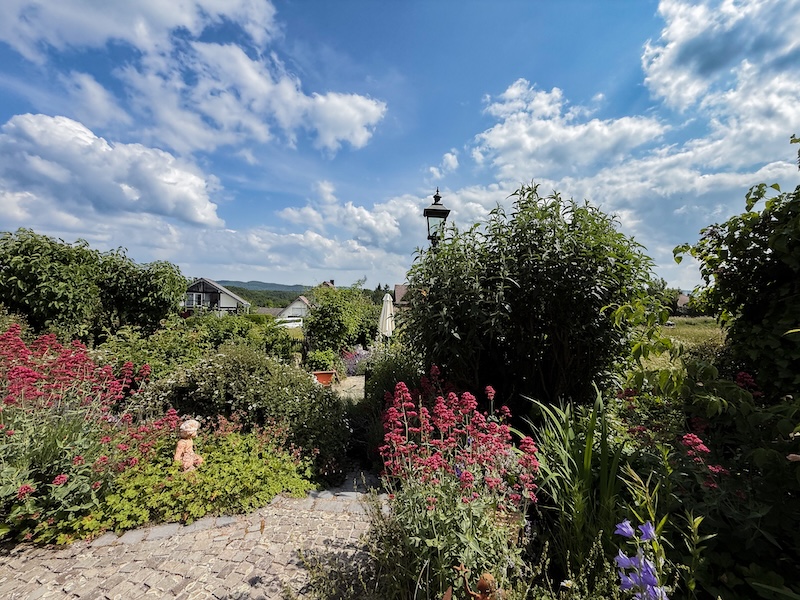 Impression Garten