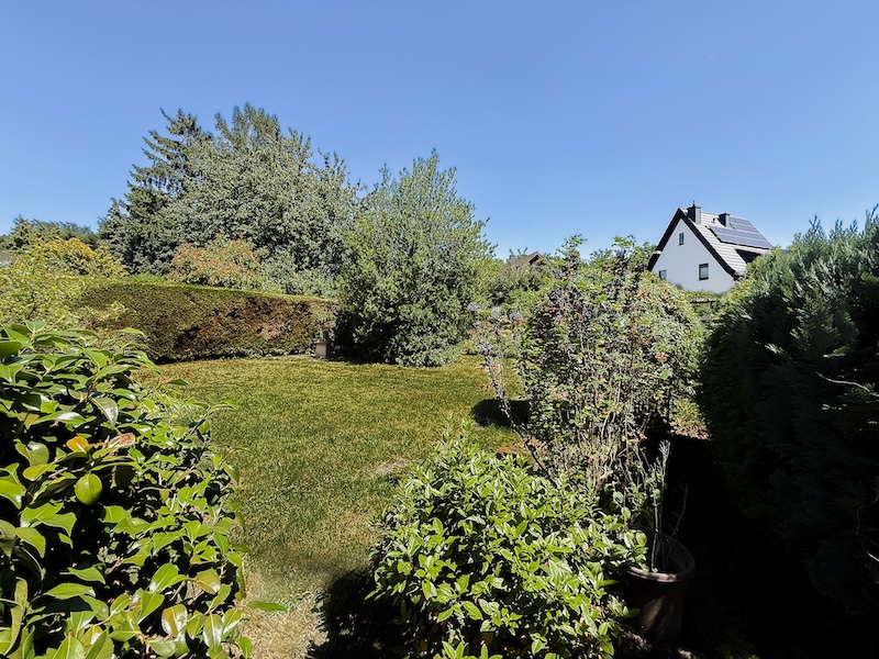 Impression Garten