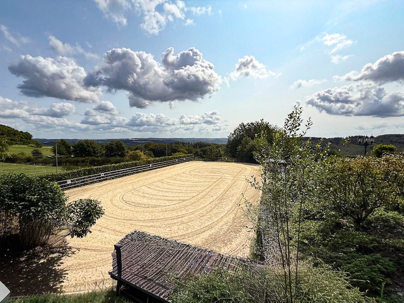Blick auf den Reitplatz